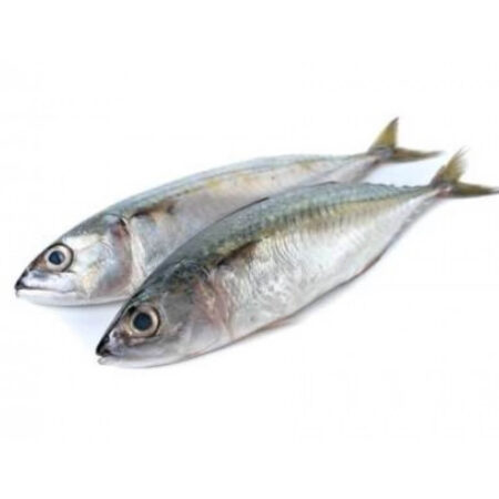 New Age - Hm Box 5-9 (Kote Fish)